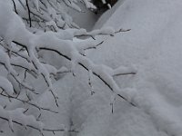 Nevicata-079