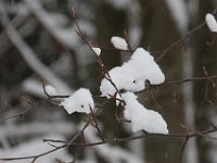 Nevicata-080