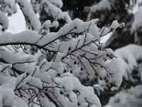 Nevicata-082