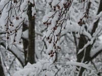 Nevicata-087