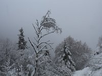 Nevicata-097