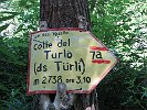 ColleDelTurlo-2010.07.18-001
