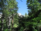ColleDelTurlo-2010.07.18-039