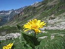 ColleDelTurlo-2010.07.18-152