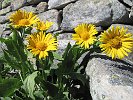 ColleDelTurlo-2010.07.18-299