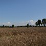 Lambro-e-Adda-02_ParcoAddaNord.jpg
