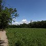 Lambro-e-Adda-10_CiclabileValleDelLambro.jpg