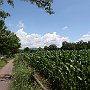 Lambro-e-Adda-13_CiclabileValleDelLambro.jpg