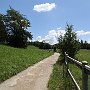 Lambro-e-Adda-14_CiclabileValleDelLambro.jpg