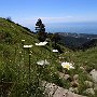 AAVV-Faiallo-Beigua-010.jpg