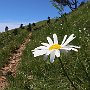 AAVV-Faiallo-Beigua-013.jpg