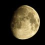 Luna-2020.04.04-02.jpg