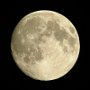 Luna-2020.04.06-01.jpg