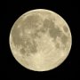 Luna-2020.04.07-01.jpg
