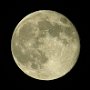 Luna-2020.04.08-01.JPG