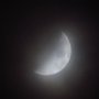 Luna-2020.04.29-02.jpg