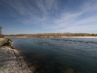 PrimaveraNelBoscoDelMezzanone-24