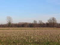 InvernoNelParcoDelTicino-75