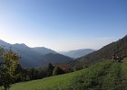 FalesiaDelVaccarese-021