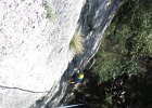 FalesiaDelVaccarese-025
