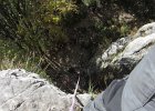FalesiaDelVaccarese-037