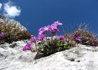 VersoCaminettoPagani-086